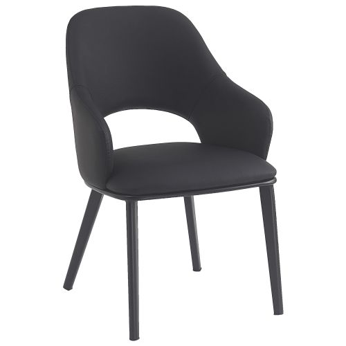 Denzel Dining/Lounge Chair, Set of 4 in Black and Black