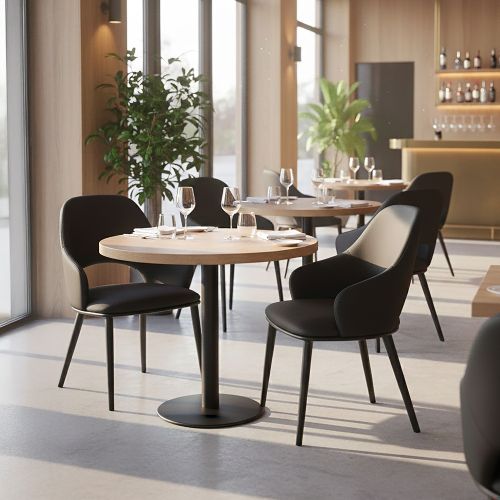 Denzel Dining/Lounge Chair, Set of 4 in Black and Black