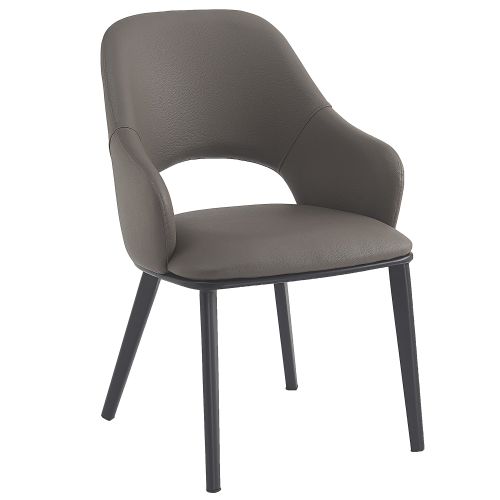 Denzel Dining/Lounge Chair, Set of 4 in Stone and Black