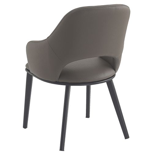 Denzel Dining/Lounge Chair, Set of 4 in Stone and Black