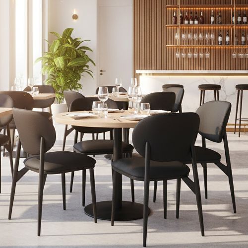 Gideon Dining/Lounge Chair, Set of 4 in Black and Black