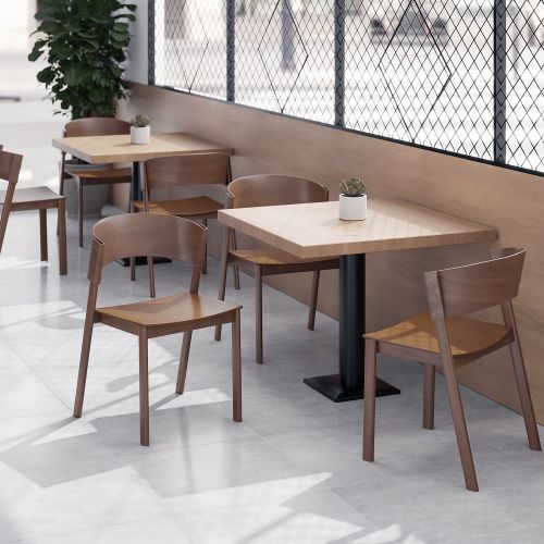 Elias Dining/Lounge Chair, Set of 2 in Walnut